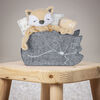 Welcome Baby Fox Shaped 5 PC Gift Set