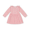 Rococo Velour Dress Pink 3/6M