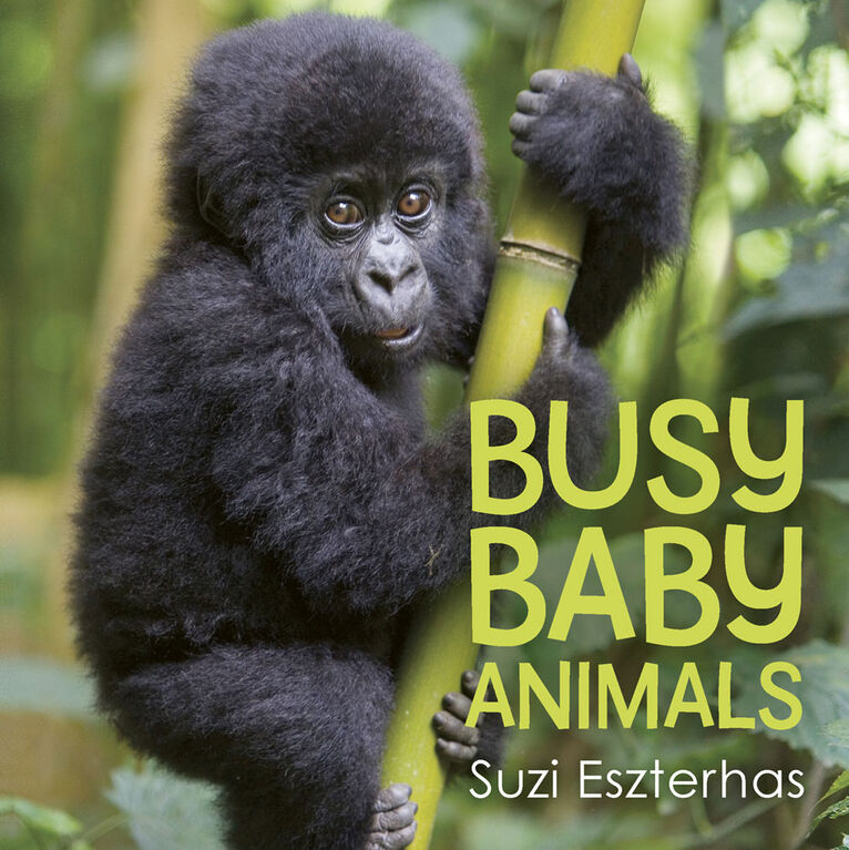Busy Baby Animals - English Edition