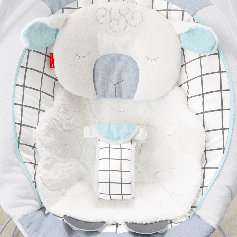 fisher price bouncy chair