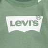 Combinaision Levis - Vert