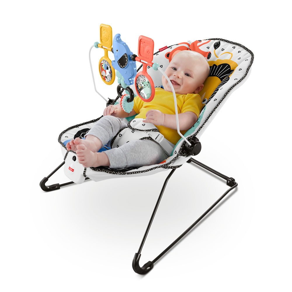 fisher price bouncer seat