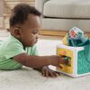 Fisher Price-Cube d'Activités Boîte à mouchoirs-Jouet sensoriel à froisser pour nouveau-né