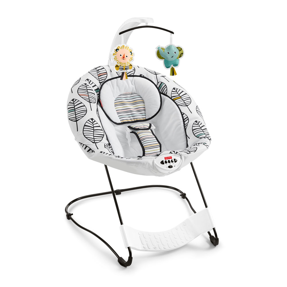 fisher price see and soothe bouncer